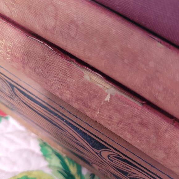 Old books for staging - Picture 4 of 4